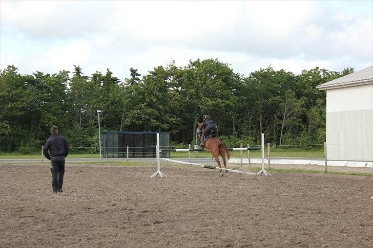 DSP Amman<3 B-PONY!  billede 11