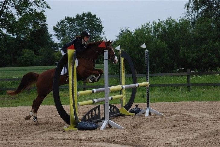 DSP Amman<3 B-PONY!  billede 12