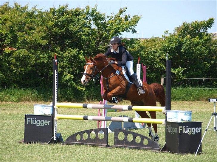 DSP Amman<3 B-PONY!  billede 13