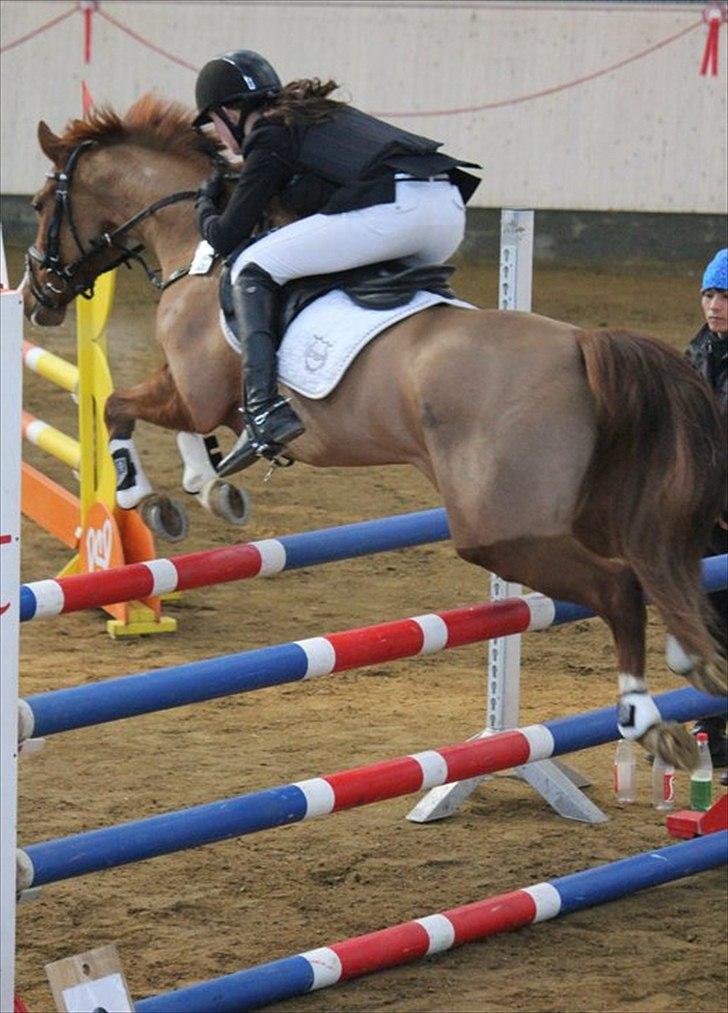 DSP Amman<3 B-PONY!  billede 14