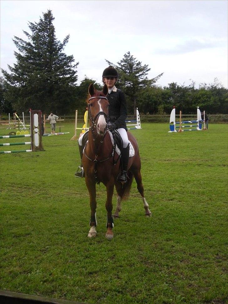 DSP Amman<3 B-PONY!  billede 15