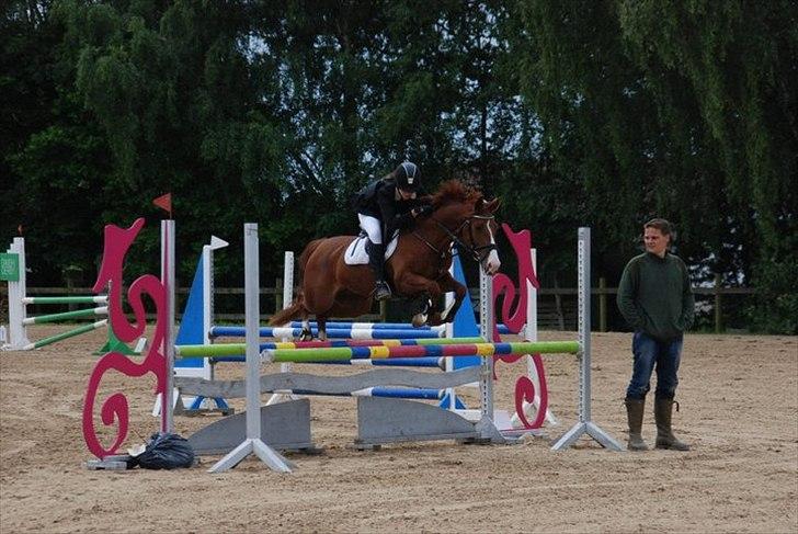 DSP Amman<3 B-PONY!  billede 16