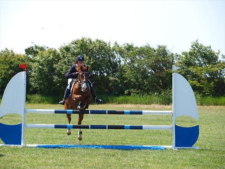 DSP Amman<3 B-PONY!  billede 17