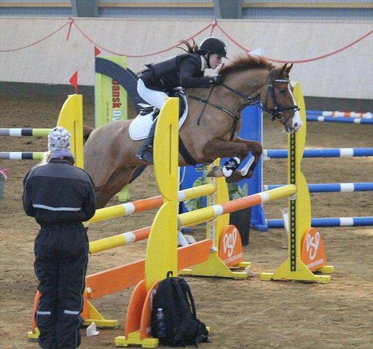 DSP Amman<3 B-PONY!  billede 18