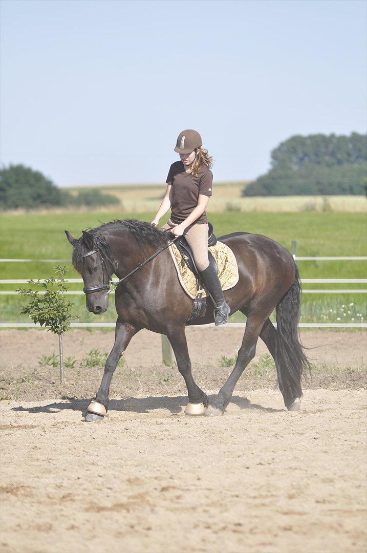 Frieser - Christa (Blackie) - (d. 6/7 2011) Undervisning ..  billede 21