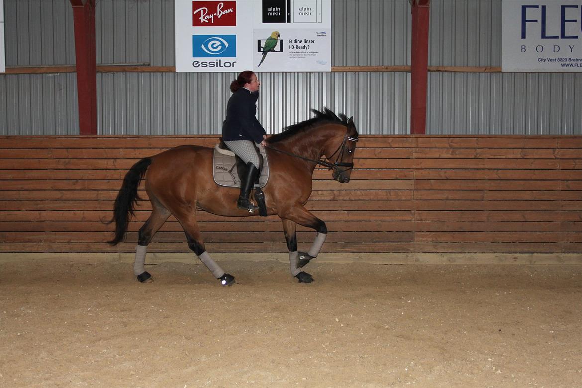 Hollandsk Varmblod Zaziezazou " Zazu" <3 [Tidl. hest] ;( - forår 2011 billede 8