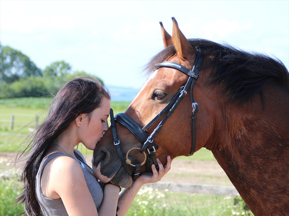 Anden særlig race  Pardo - A Part Of Me! :* -  "The essential joy of being with horses is that it brings us in contact with the rare elements of grace, beauty, spirit, and fire." Foto: CFJ billede 14