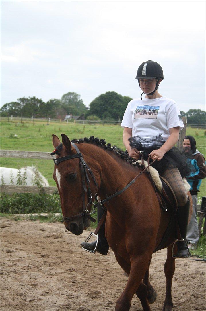 Welsh Cob (sec D) Rambo. - kvadrille på ridelejre 2011 :D vi red forrest igen i år (: han klare det så flot, han gik super dejligt :) <3 jeg er rigtig stolt af ham :* billede 13
