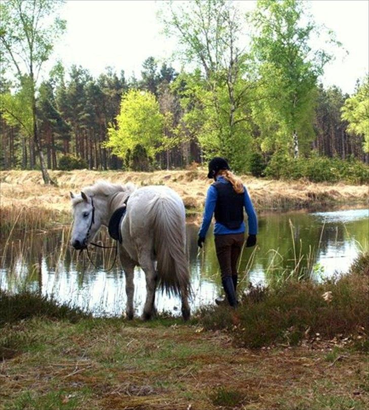 Islænder Pori klattrup - For verden er du måske bare en hest, men for mig er du hele verden.
os hos gamle ejer:) 2010<3 billede 15