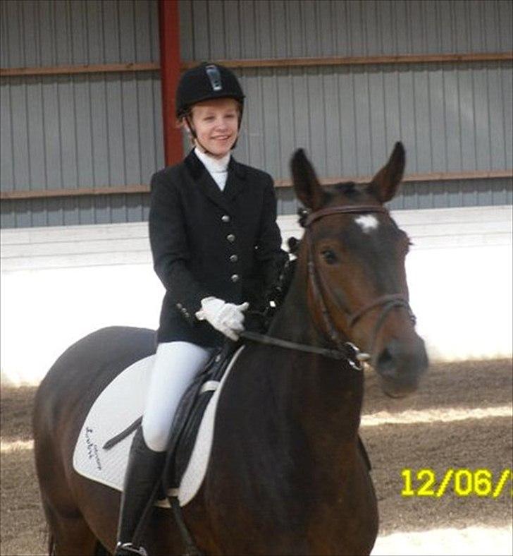 Anden særlig race Tamira [Rideskole hest] billede 1