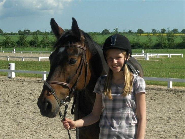 Anden særlig race Tamira [Rideskole hest] billede 5