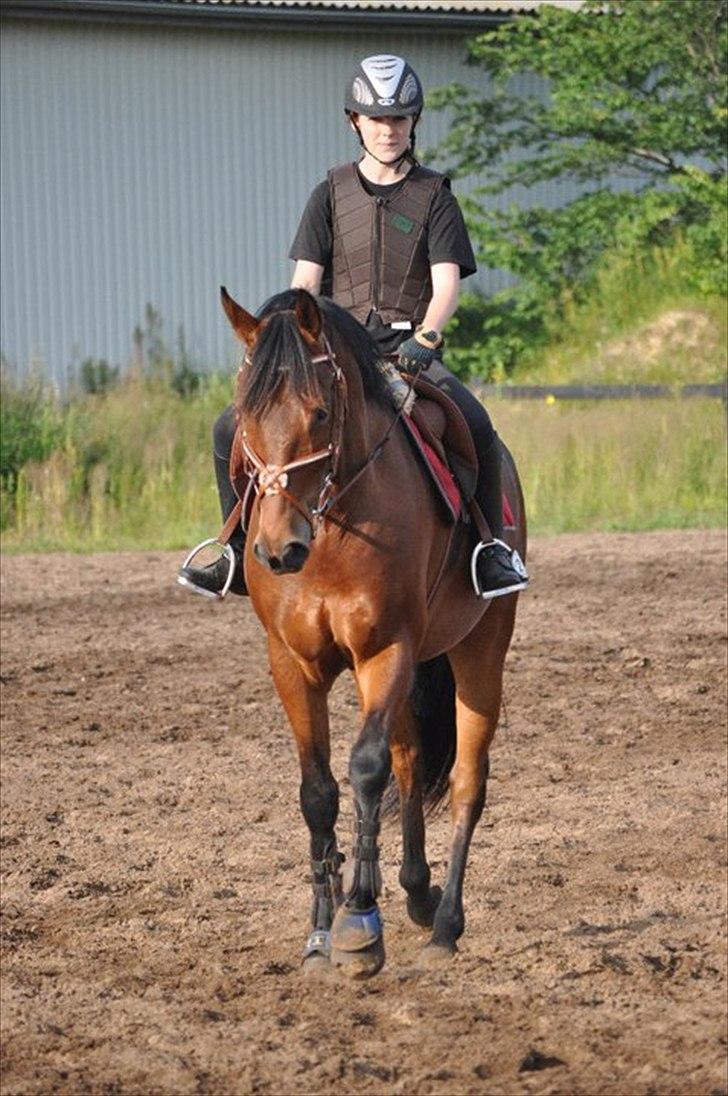 Anden særlig race Santos - Santos og jeg, træning  6/7-11  billede 2