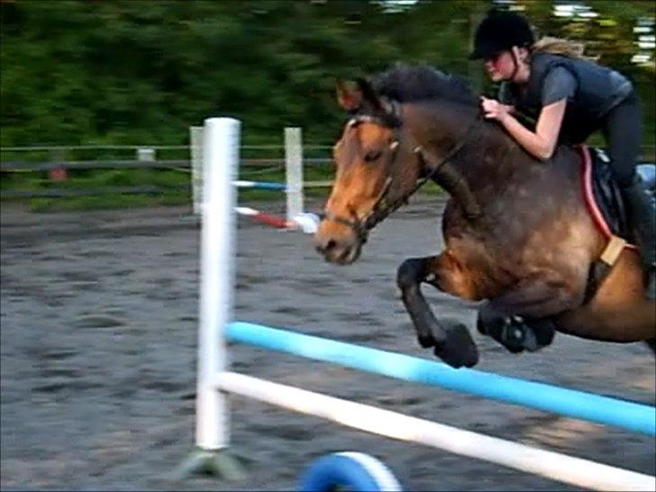 Anden særlig race Liva the Diva *R.I.P.* - Springundervisning d 6/7 - 2011
Dygtig hest! billede 1