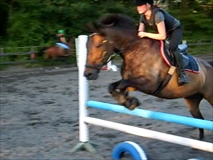 Anden særlig race Liva the Diva *R.I.P.* billede 14