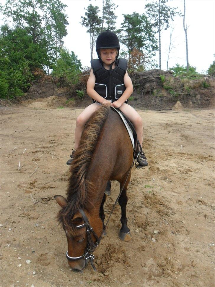 Anden særlig race Mia - Min bror på 6 og Mia :D billede 18