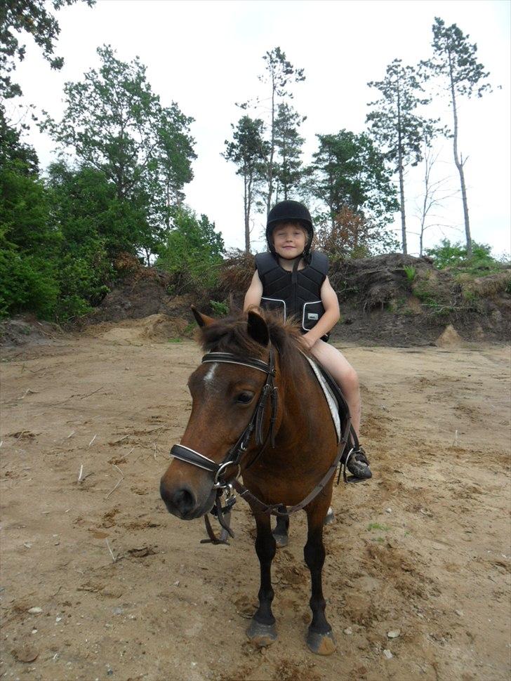 Anden særlig race Mia - Hun er da dejlig billede 19