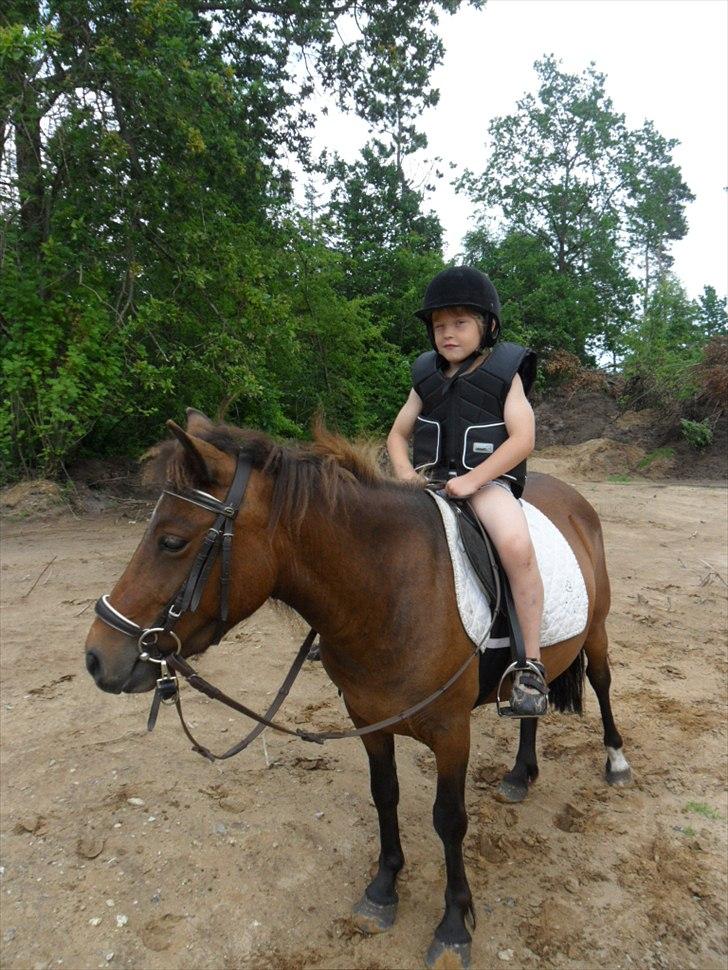 Anden særlig race Mia billede 20