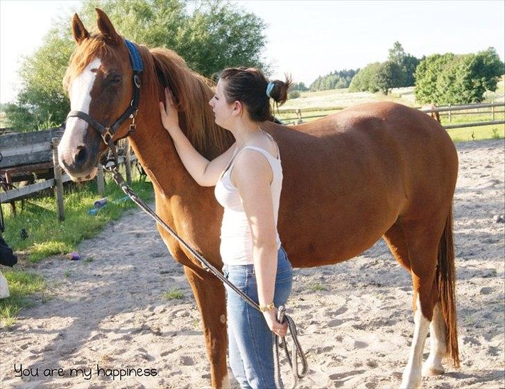 Svensk Sportspony  | Isabell.<3 *solgt* - You are my happiness.<3 billede 12