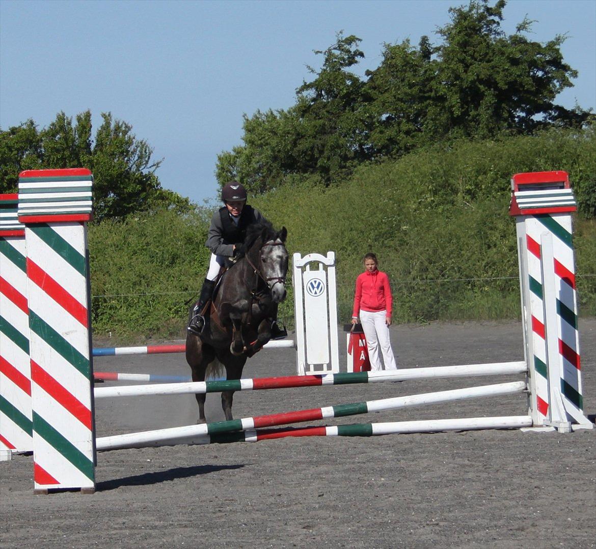 Connemara Bech`s Mallachy solgt billede 11