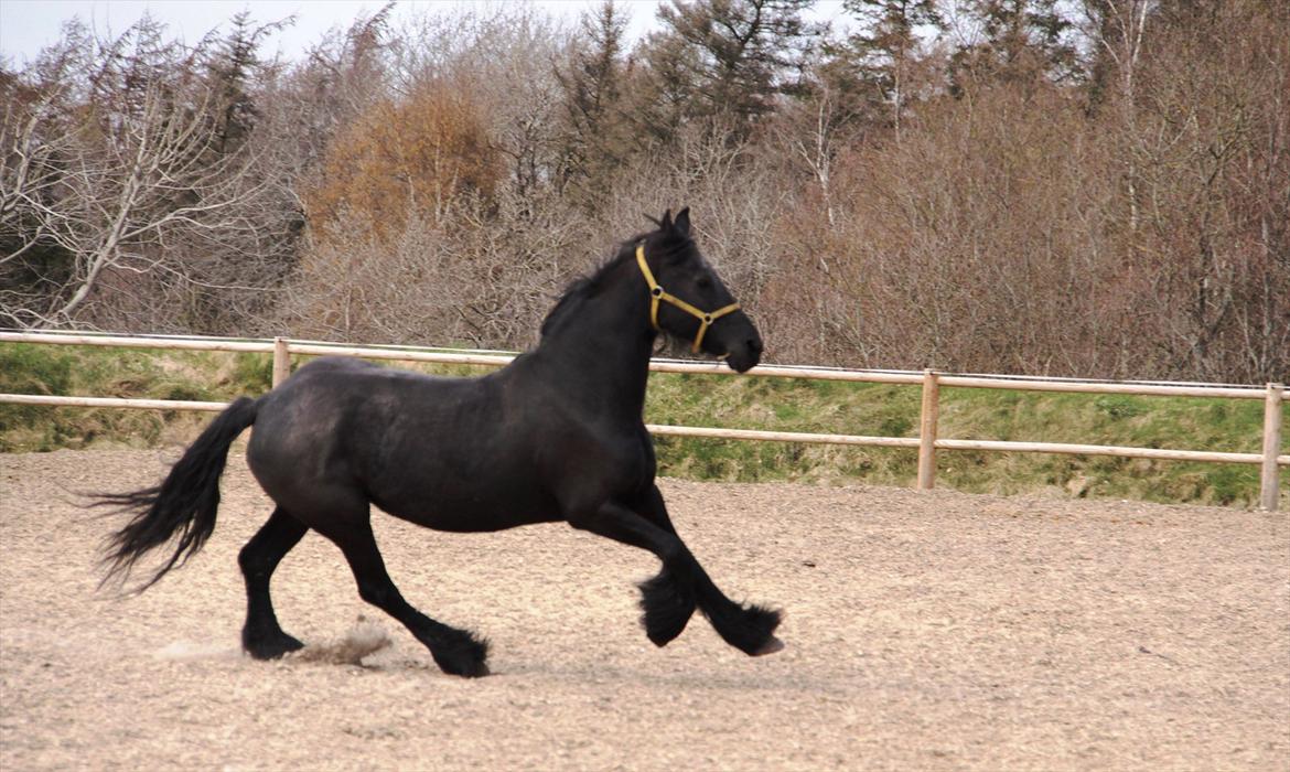 Frieser Sandra billede 12