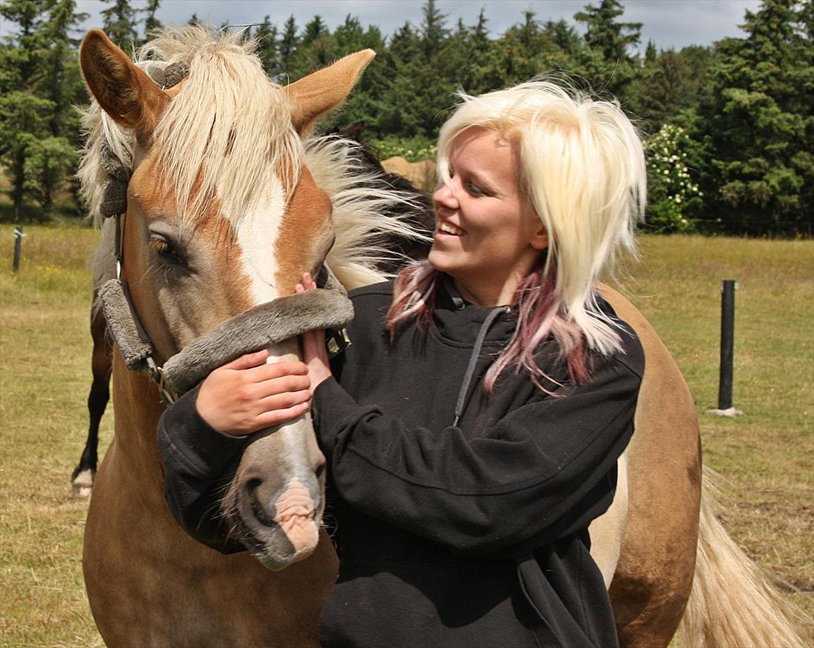 Haflinger BAILEY - vores venskab vil aldrig dø <3 billede 12