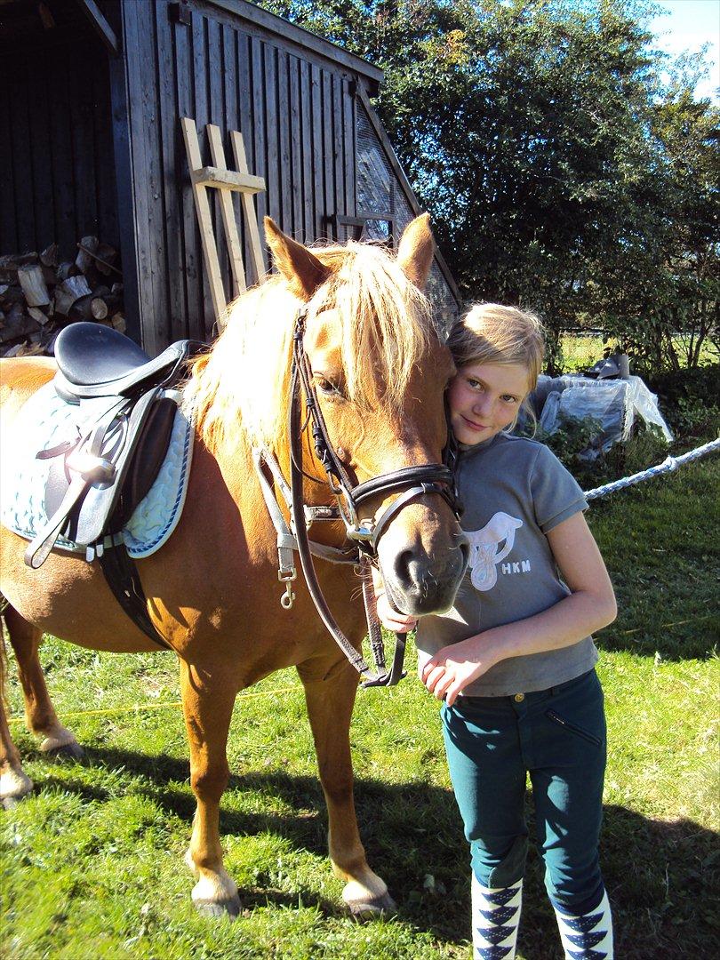 Anden særlig race Cassa billede 16