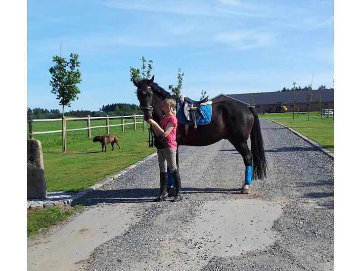 {{currentPhoto.altText}} billede {{currentPhoto.number}}