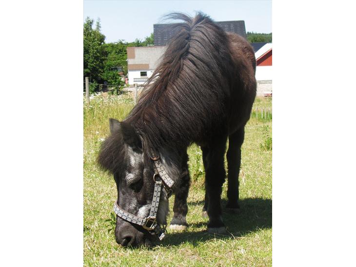 {{currentPhoto.altText}} billede {{currentPhoto.number}}