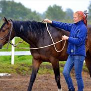 Anden særlig race Alandra