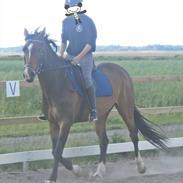 DSP Argentan |*Min skat*| 