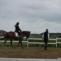 Traver Højvangen´s Play (solgt)