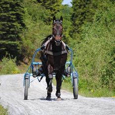 Traver One Hot Minute