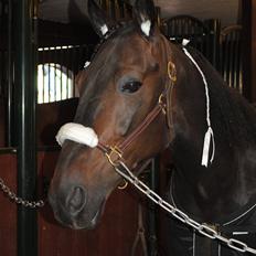 Traver One Hot Minute