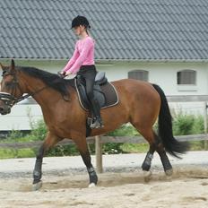 Anden særlig race lucky 