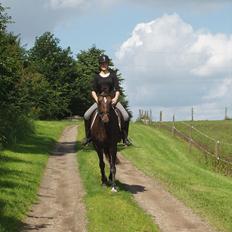 Anden særlig race Jolly