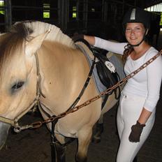 Fjordhest Lady - LadyDyret<3 ;b