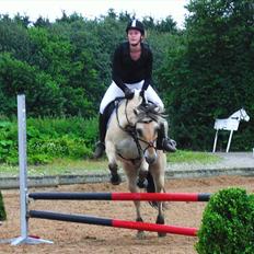 Fjordhest Lady - LadyDyret<3 ;b