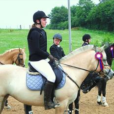 Fjordhest Lady - LadyDyret<3 ;b