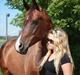 Dansk Varmblod N.O.H'S Bahama <3