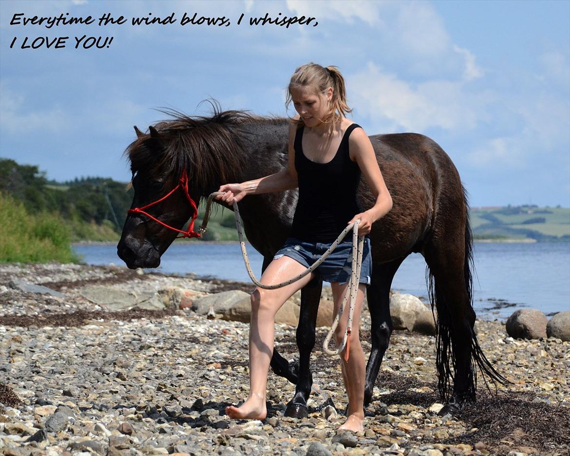 Islænder Steina <3 -  Love is missing someone whenever you're apart, but somehow feeling warm inside because you're close in heart. Jeg savner dig Steina.<3 //foto: Nanna <3. billede 9