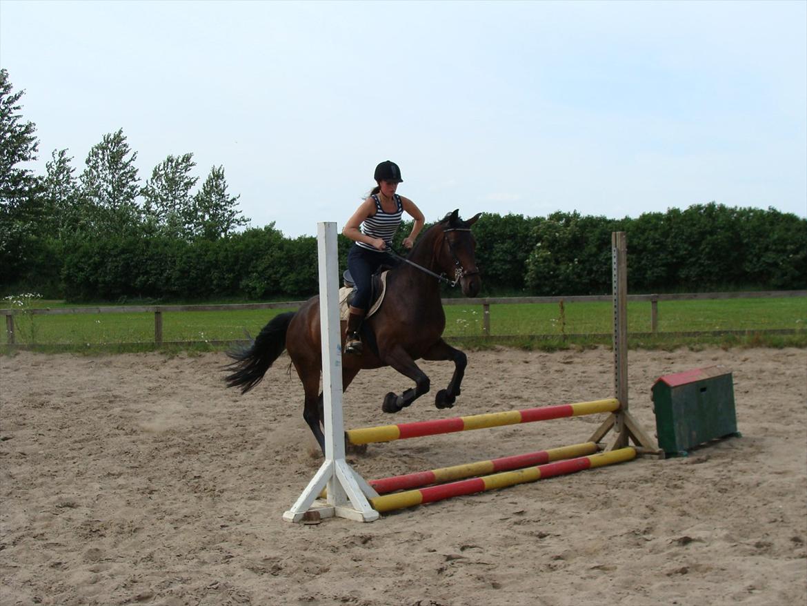 Pinto Gaasdal´s Spotless - Springtræning juli 2011 billede 14