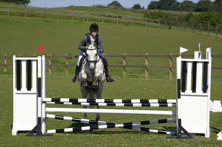 Connemara Nørlunds Cappuccino billede 18