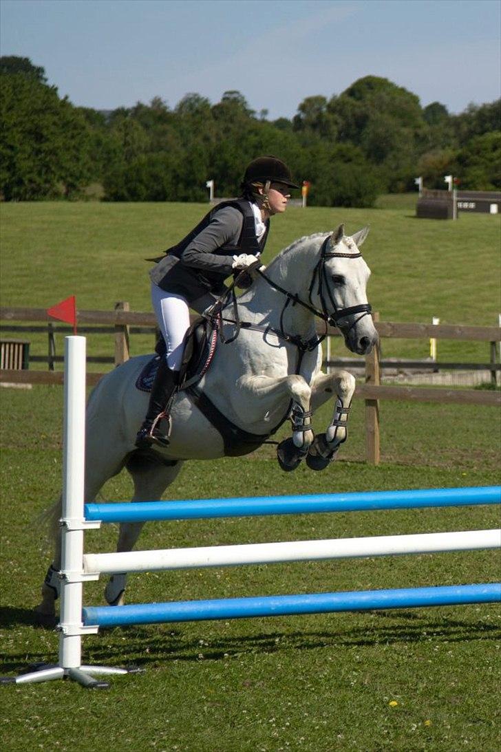 Connemara Nørlunds Cappuccino billede 19