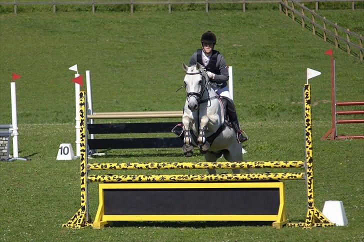 Connemara Nørlunds Cappuccino billede 20