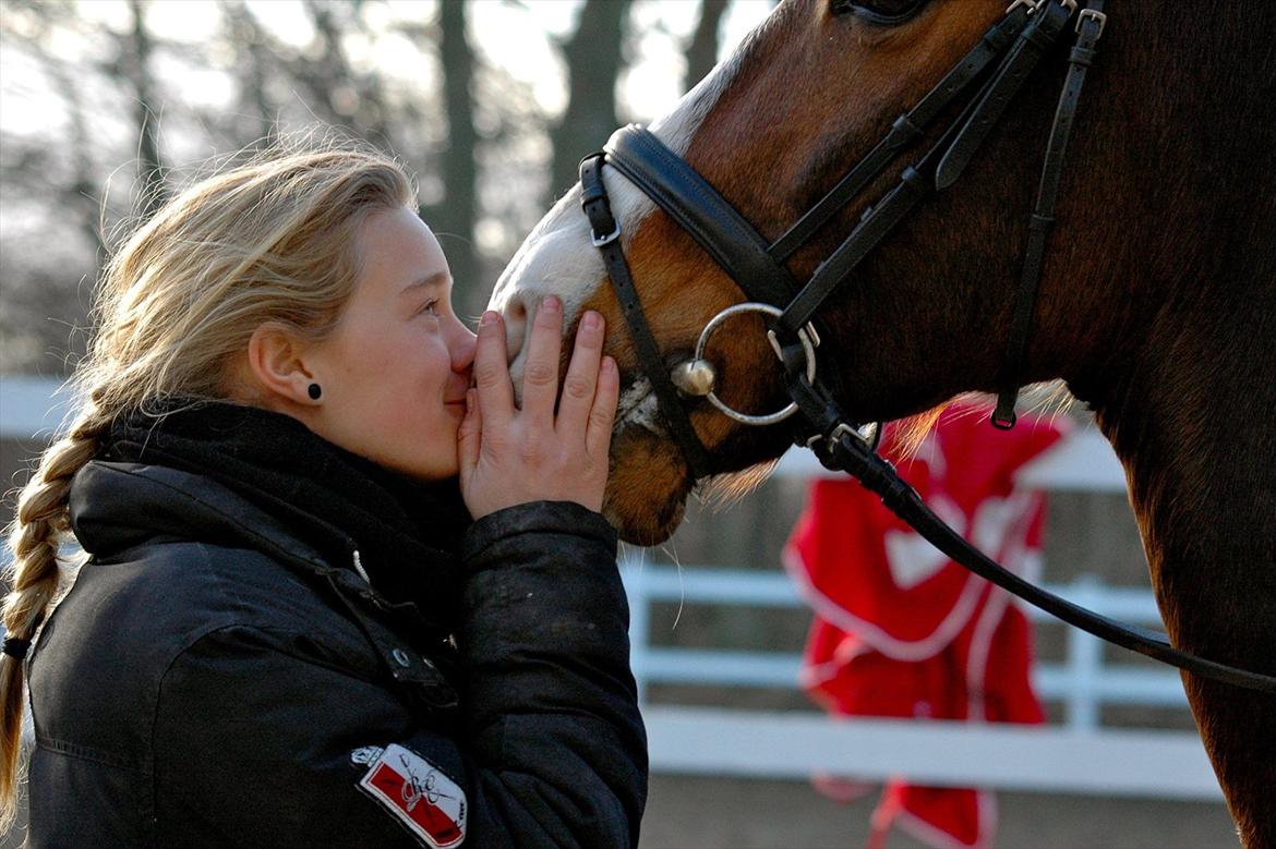 DSP Elmegaardens Don Juan billede 6