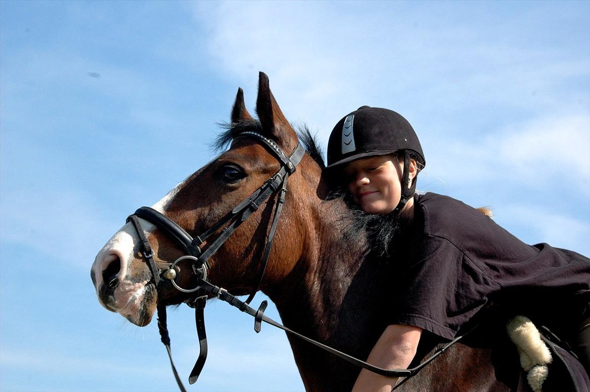 DSP Elmegaardens Don Juan billede 7