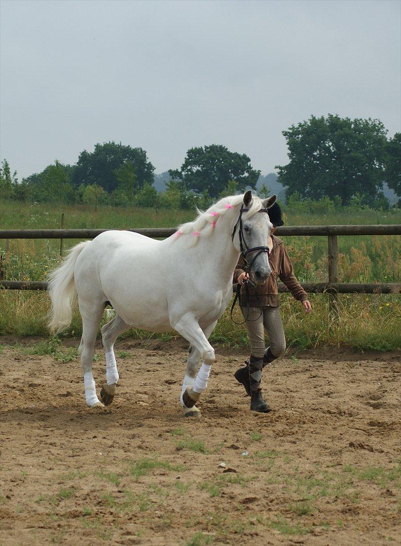 Anden særlig race Viola Snefnug Olsen billede 6