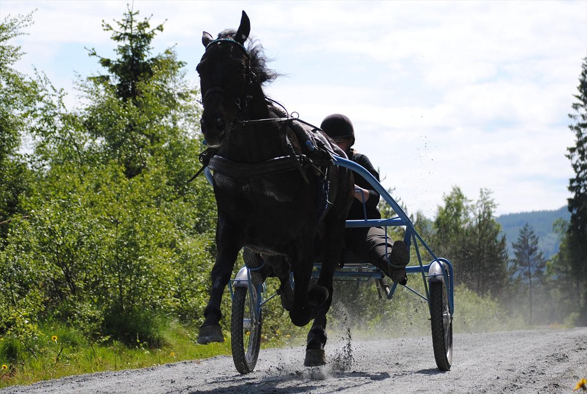 Traver One Hot Minute billede 4