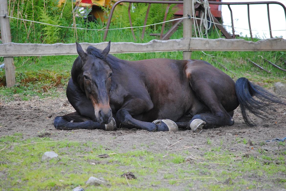 Traver One Hot Minute billede 13