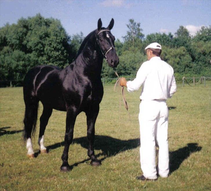 Oldenborg Lukas - Lukas's far, Compact. Hvad skal man sige han ligner sin far på en prik<3 billede 6